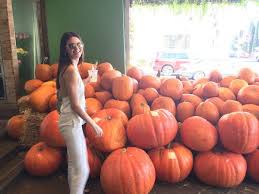 Image result for fat ass pumpkin