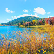 Rüyada göl görmek genel olarak hayırlı sayılmaktadır. Abant Otelleri Ve Abant Otel Fiyatlari Etstur Com