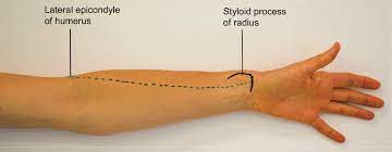 What are knee injury symptoms and signs? Applied Basic Sciences Section 5 Postgraduate Orthopaedics