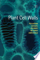 Check spelling or type a new query. Plant Cell Walls From Chemistry To Biology Peter Albersheim Alan Darvill Keith Roberts Ron Sederoff Andrew Staehelin Google Books