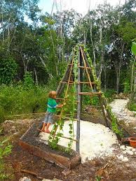 Love This Children S Garden The Tipi Is Used For The Kids To Climb On As Well As Being A Trellis Gardening For Kids Natural Playground Outdoor Play Spaces