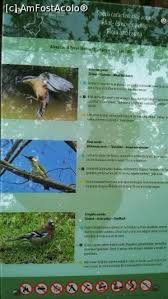 O Plimbare Relaxanta In Jurul Lacului Heliotermal Ursu Din Sovata Impresii Lacul Ursu Sovata Ms Amfostacolo