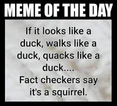 Meme Of The Day If It Looks Like A Duck Walks Like A Duck Quacks Like A Duck Fact Checkers Say It S A Squirrel
