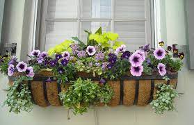 Heat resistant flowers for window boxes. Choosing The Best Flowers For Your Window Boxes