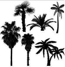 .ai or.eps for adobe illustrator. Silhouettes Palm Trees Vector Free Download