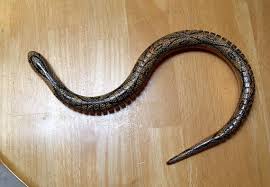 Vintage Toy Wood Wooden Jointed Snake Serpent Twenty 20 Inches Etsy Vintage Toys Vintage This Or That Questions