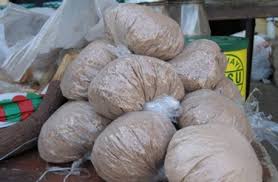 Image result for Hirpicium bechuanense