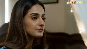 Guddu Tumhe Ye Sab Nahi Karna Chaiye Tha