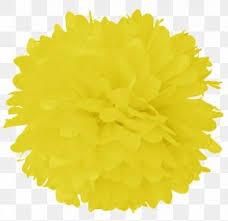 Tissue Paper Pom Pom Light White Png 640x640px Paper Ball Color Facial Tissues Invention Download Free Download transparent pom pom png for free on pngkey.com. tissue paper pom pom light white png