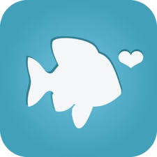 On tiktok, ladies say guys on pof live in mom's basements and others are on parole. Bumble Vs Pof What Is The Difference