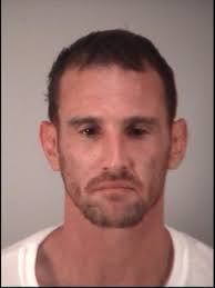 Villager's son sentenced in groping incident, spitting at veterinary clinic  worker