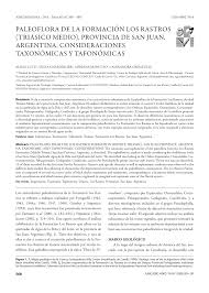 Es una obra digna de ver por la claridad en la que se ven los estragos realizados por esta época nefasta que dejó una triste pero importante frase: Pdf Paleoflora De La Formacion Los Rastros Triasico Medio Provincia De San Juan Argentina Consideraciones Taxonomicas Y Tafonomicas