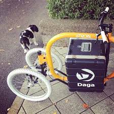 犬と子供達に大人気でした注目度ハンパないです dagastroke cargobike カーゴバイク カーゴバイク 自転車 犬