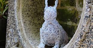 Image result for Impatiens hochstetteri