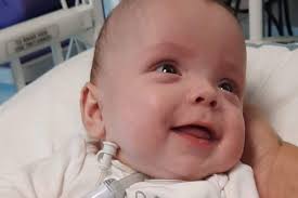 Fundraiser for Leslie Arieas by Michelle Nelson : Help us put Chance to rest