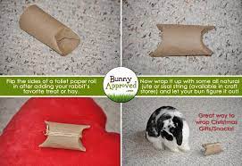 Diy Rabbit Toy Ideas Bunny Approved House Rabbit Toys Snacks And Accessories Diy Bunny Toys Homemade Rabbit Toys Rabbit Treats