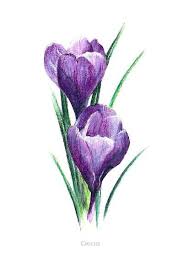 Pin On Art Water Color