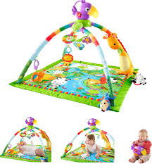Baby Play Gym