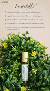 Pin On Essential Oils