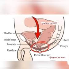 Sehemu zenye hisia kali zaidi kwenye mwili wa mwanamke. Jifunze Leo Tz Posts Facebook