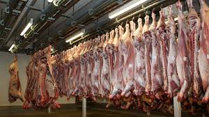 How to butcher cattle | ProAgri