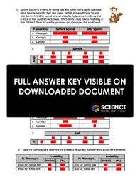 R = round seed shape r = wrinkled seed shape parents: Worksheet Squirrel Genetics With Dihybrid Crosses Part D Tpt