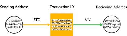 Why xrp has struggled in 2020 What To Do When You Fall Victim To A Crypto Scam Ciphertrace