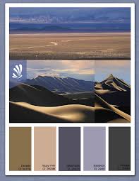 Gobi Desert Colour Palette Desert Colors Desert Design Color Palette