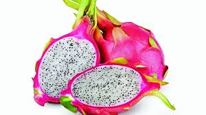 Organic dragon fruit live plants, the easiest variety to grow and produce fruit fast! Exotic Dragon Fruit Makes A Debut In Andhra Pradesh