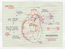 Mitral stenosis is most commonly due to rheumatic. Mitral Stenosis Pathophysiology Review Dr Augusto Saldana M Theplaguedoctor Blog Nursing Notes Cardiology Stenosis