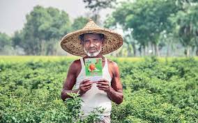Customers can open an account at one of its 0 branches. Farmers With Excess Produce May Soon Start Saving Through Agrobanking