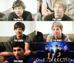 This is a page for all 1d fans to see our boys act and look like retards ! One Direction Funny Pictures Google Search One Direction Quotes One Direction Memes One Direction Pictures