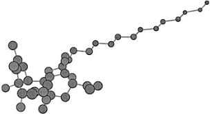 Image result for Synaptolepis