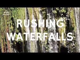Relaxing Waterfall Gently Rushing In Forest 1 Hour Sounds That Make You Sleep Water Sounds Youtube Sound Waterfall White Noise