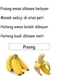 Apa pesan dari pantun pisang emas dibawa berlayar masak sebijik diatas peti utang emas bisa di bayar utang budi dibawa mati. Pisang Emas Dibawa Belayar