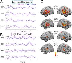 Public speaking tips & speech topics. Electrocorticographic Responses To Time Compressed Speech Vary Across The Cortical Auditory Hierarchy Biorxiv