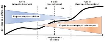 Un estudio asegura que el virus podría causar pérdida auditiva. Como Trabaja El Coronavirus Causante De La Enfermedad Covid19 Empireo Diagnostico Molecular Diagnostico De Vih Y Ets