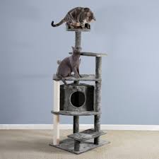 Huge cat tower with leaves. Grey Cat Trees Condos Free Shipping Over 35 Wayfair