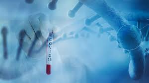 Spouses Adults Most Likely To Get Covid 19 Infection From Household Member Contagion Live