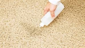 See what alec houle (alec_houle) has discovered on pinterest, the world's biggest collection of best boston carpet cleaner, carpet cleaning boston, boston, homes in boston, interior designers, carpet. How Is Dust Removed From The Carpet Quora