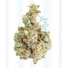 Reddish tufts of pistils emerge from behind the nicely trimmed leaflets. Grassroots Cannabis Garlic Cookies Leafly