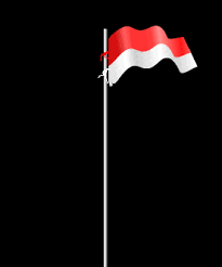 Banyak pilihan ideal untuk proyek apa saja. Top 30 Bendera Indonesia Gifs Find The Best Gif On Gfycat