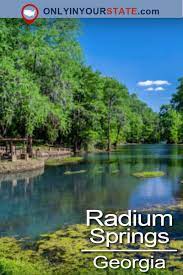 Ginnie springs boasts some of the clearest waters of all the natural springs in florida. The Sapphire Natural Pool In Georgia That S Devastatingly Gorgeous Georgia Travel Georgia Vacation Hot Springs In Georgia