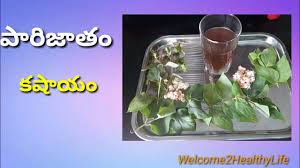 Parijatham Kashayam Telugu Youtube The film stars prithviraj and saranya bhagyaraj. parijatham kashayam telugu