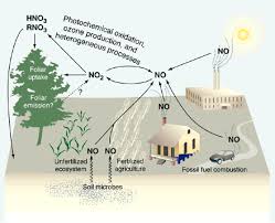 the no2 flux conundrum science