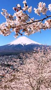  350 Scenery At Japan Ideas In 2021 Jepun Pelancongan Japan Travel