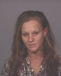 Woman Charged with Fleeing Police in Mendota Heights