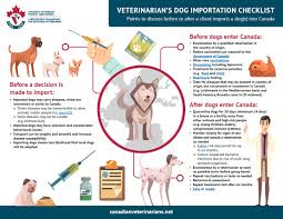 Jul 14, 2021 · canadapharmacy.com dispenses medications through our affiliated canadian dispensing pharmacy which is licensed in the province of manitoba, canada. Importation Of Dogs Into Canada