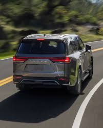 Image result for Manganese Luster 2025 LZ