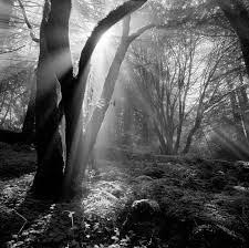 Clyde Butcher Photography